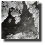 Aufklärungsfoto der britischen Coastal Command vom 21. Mai 1941, 13.15 Uhr - Die ”Bismarck“ (rechts) ankerte im Grimstadfjord. Mit ihr ankerten drei Handelsschiffe, die als Torpedo-Schilde im Falle eines feindlichen Angriffes dienen sollten.